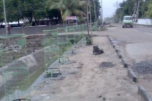 Tree Plantation - GIDC Bharuch
